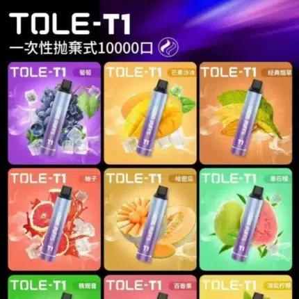 TOLE 一次性拋棄式 10000口